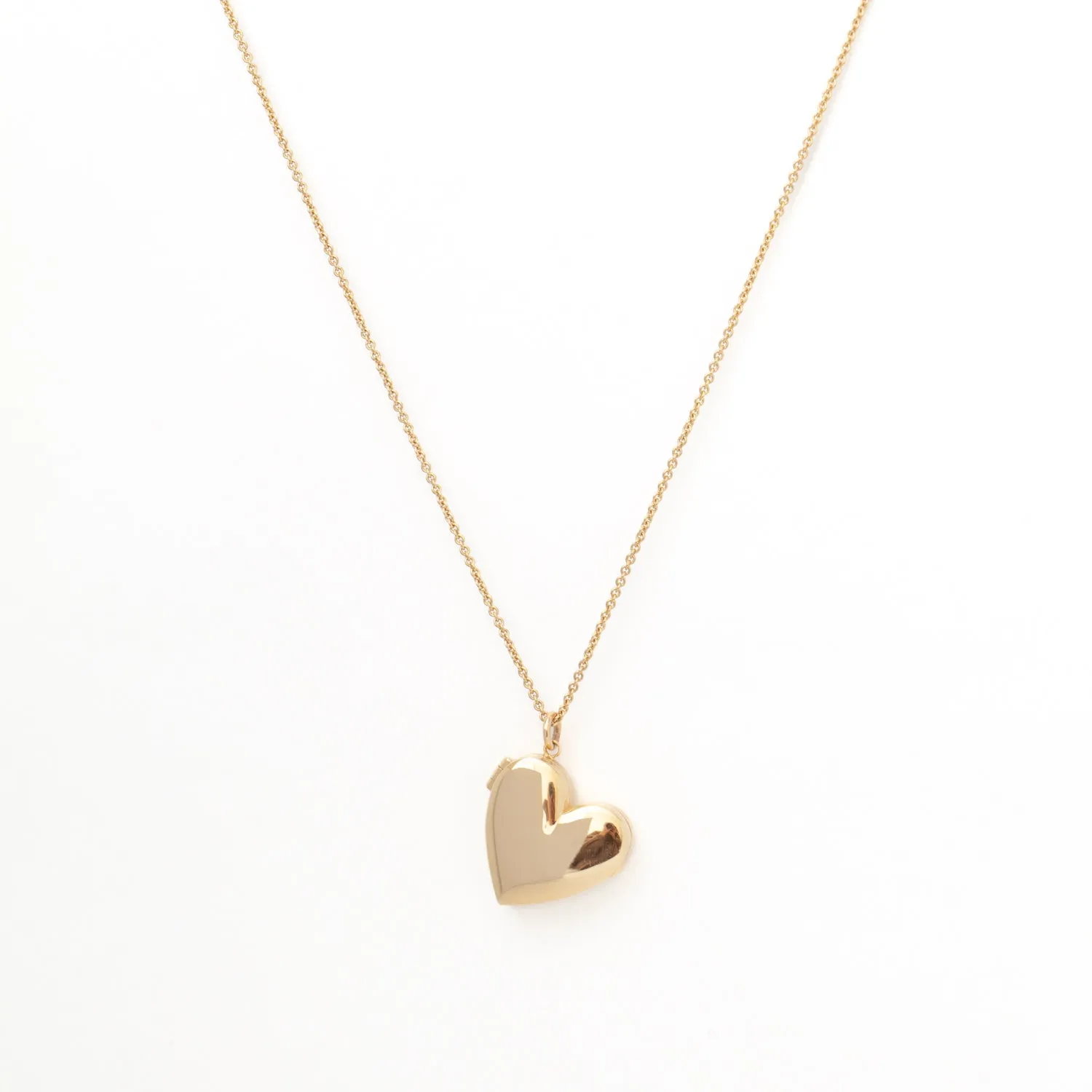 Heart Locket Long Chain Necklace